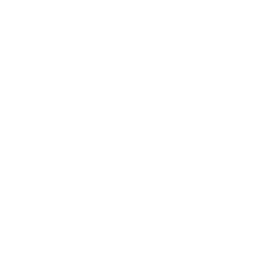 MATT_12